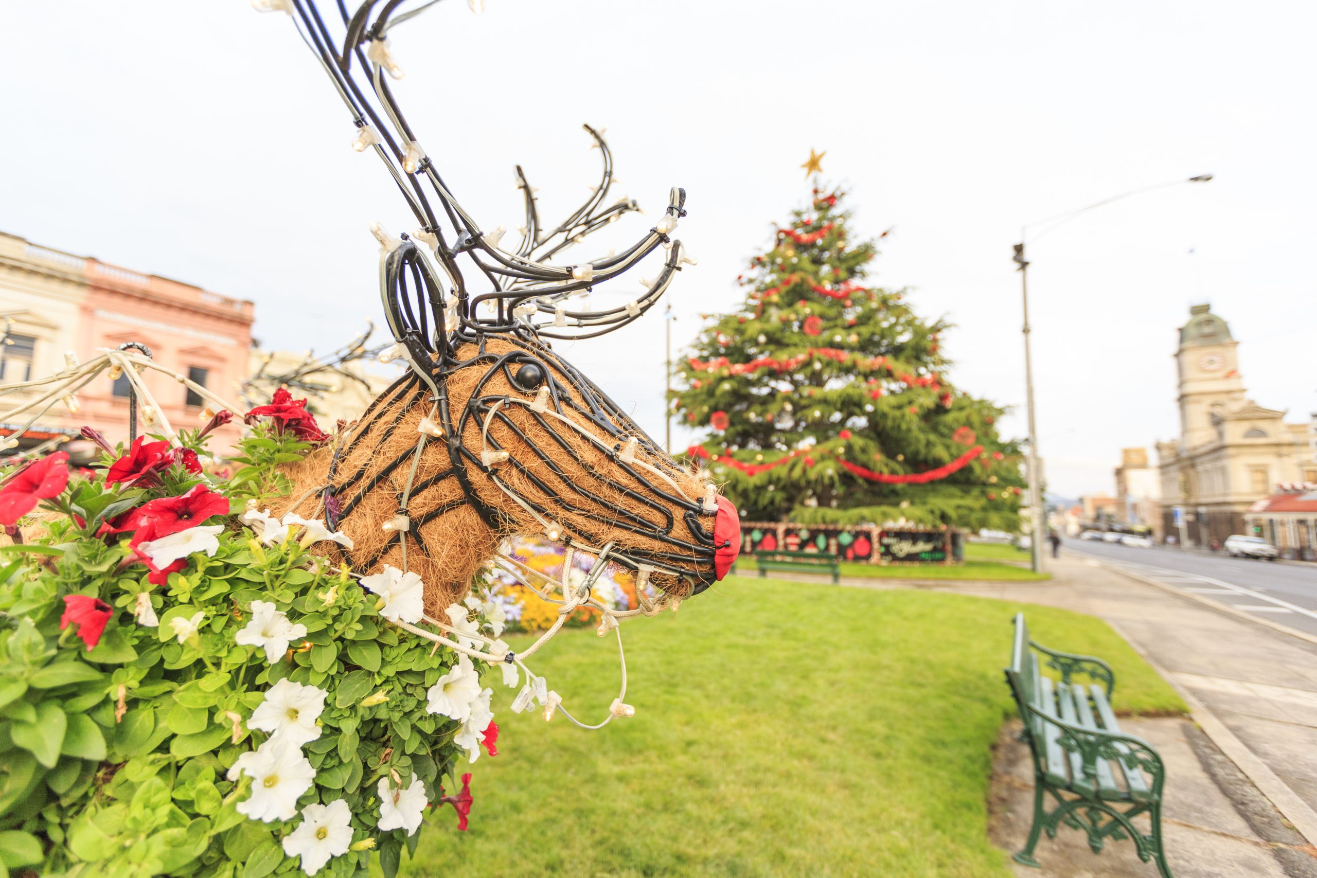 Thumbnail for Things to do in Ballarat this Christmas